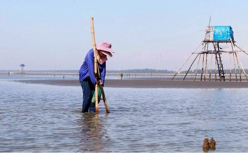 Trải nghiệm cào ngao tại Biển Cồn Vành