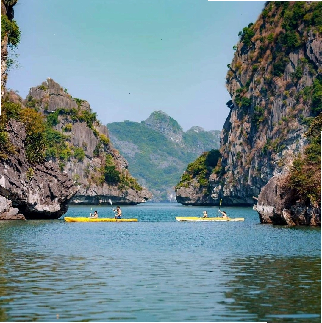 Trải nghiệm chèo kayak khám phá Vịnh Lan Hạ Cát Bà