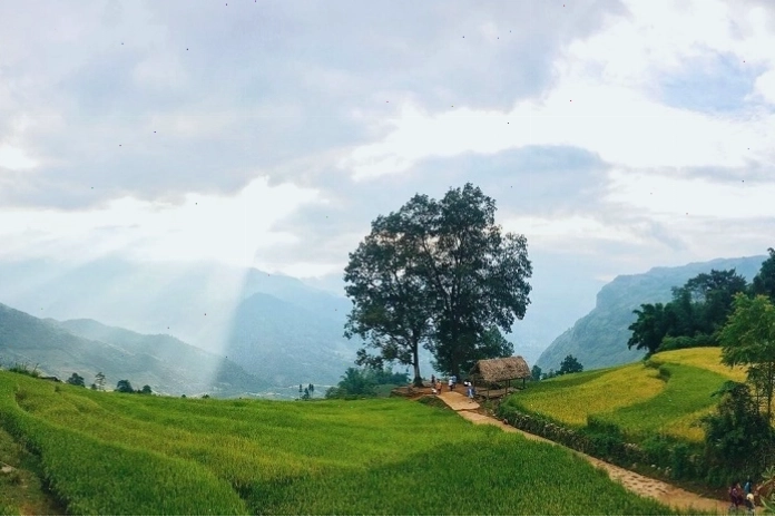 Trải nghiệm cuộc sống bản địa tại Y Tý