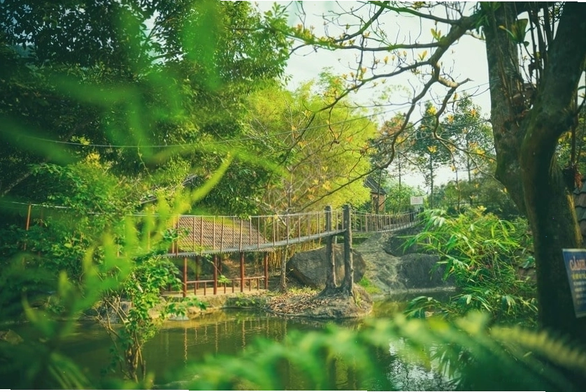 Trải nghiệm đi cầu treo thú vị ở Suối Hoa