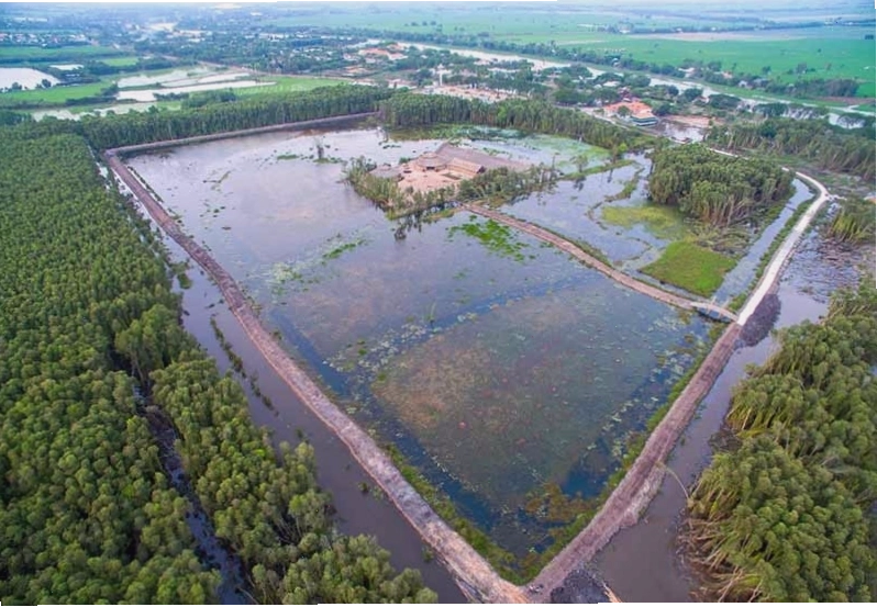 Trải nghiệm đi thuyền khám phá rừng tràm Làng Nổi Tân Lập
