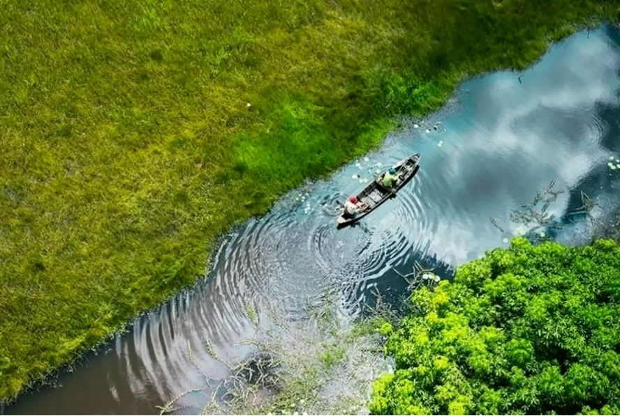 Trải nghiệm đi thuyền khám phá rừng tràm tại Lò Gò - Xa Mát