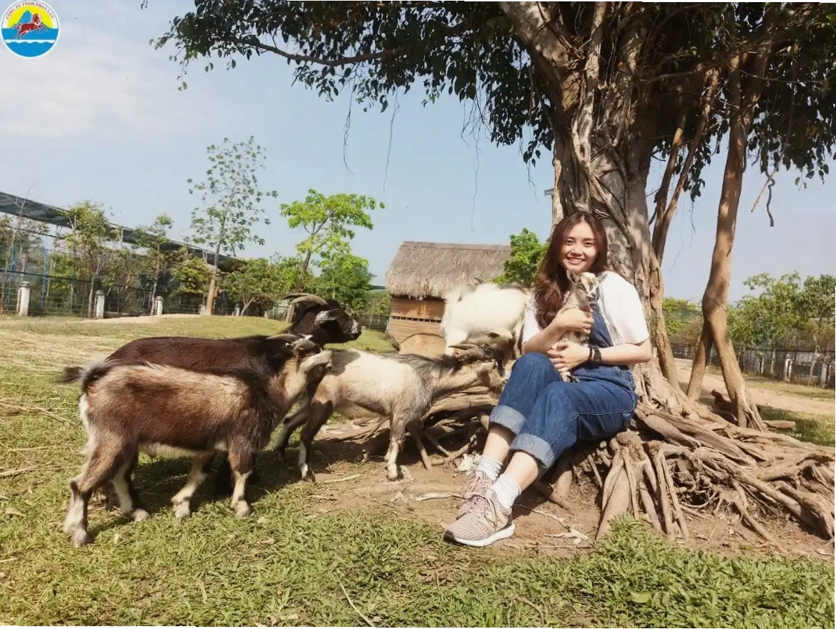 Trải nghiệm khám phá thiên nhiên tại MyQ Safari