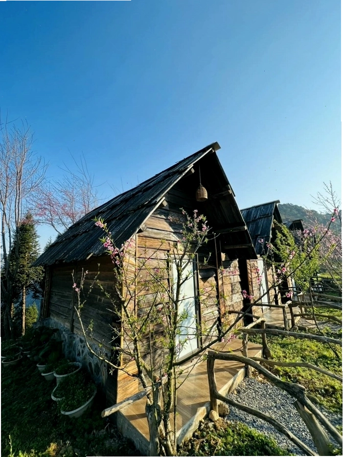 Trải nghiệm nghỉ dưỡng tuyệt vời tại Tà Xùa Hills Homestay