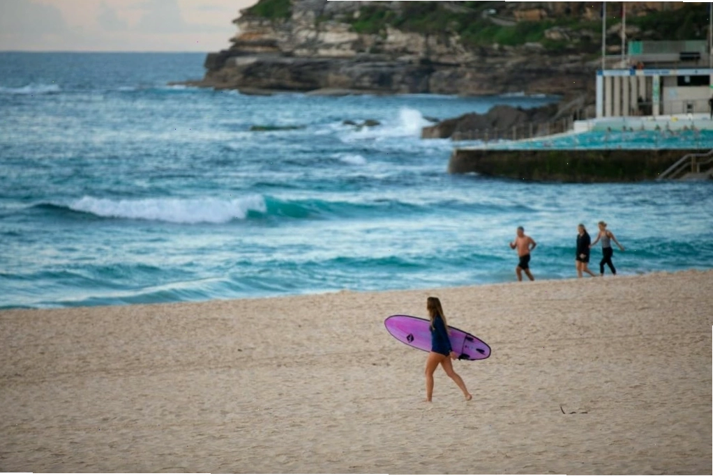 Trải nghiệm nhiều hoạt động bơi lội thú vị tại bãi biển Bondi