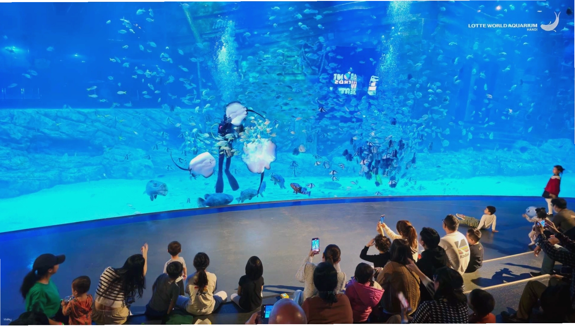 Trải nghiệm thế giới đại dương tại Lotte World Aquarium Hà Nội
