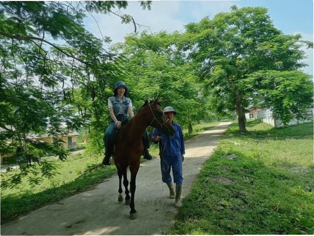 Trại ngựa Bá Vân