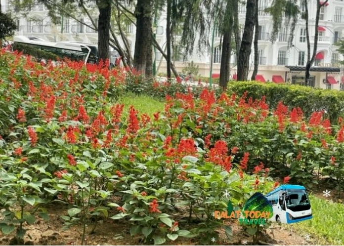 Trẻ em vui chơi tại Công viên Yersin