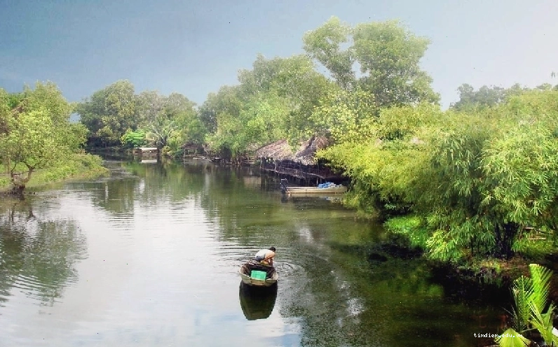 Trò chơi dân gian tại Bò Cạp Vàng