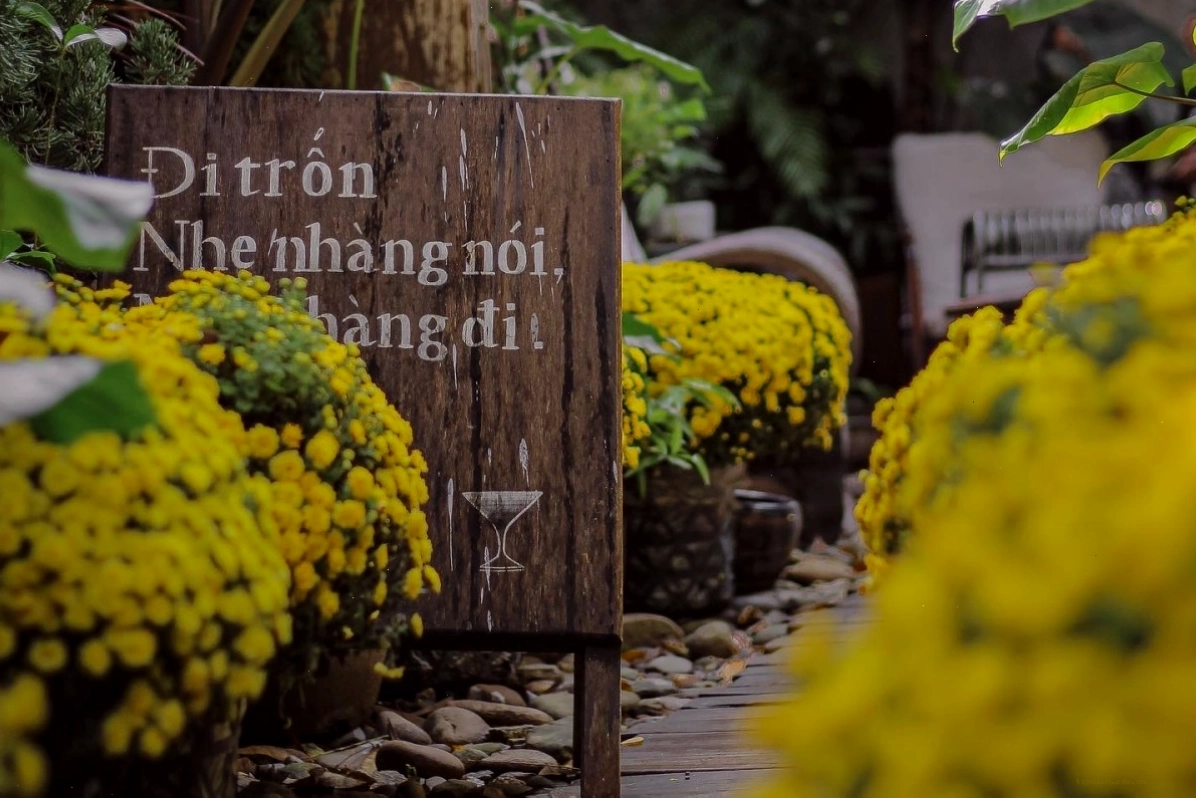 Trốn Cafe với nhiều không gian xanh mát và ánh sáng tự nhiên