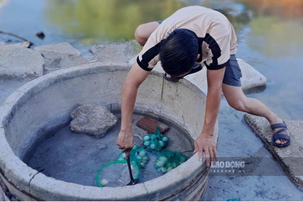 Trứng được luộc chín sau hơn 10 phút ngâm mình trong suối nước nóng Hội Vân