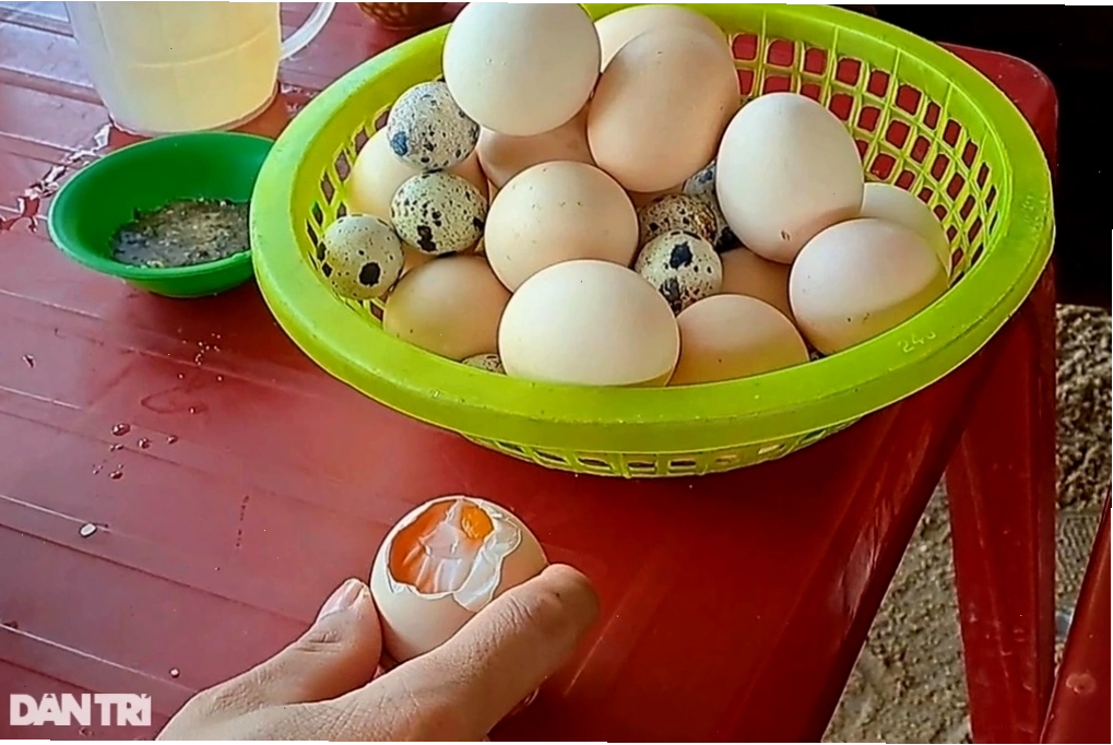 Trứng gà được luộc chín nhờ nhiệt độ cao của suối nước nóng Phù Cát