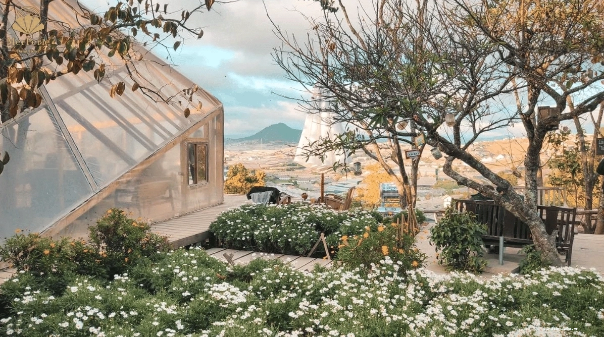 Túi Mơ To Đà Lạt với không gian mở và view thung lũng