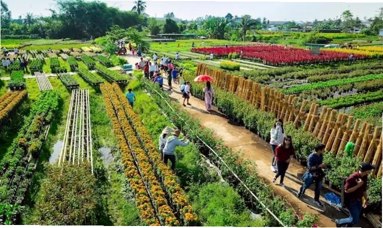 Vẻ đẹp cổ kính của Nhà cổ Huỳnh Thủy Lê