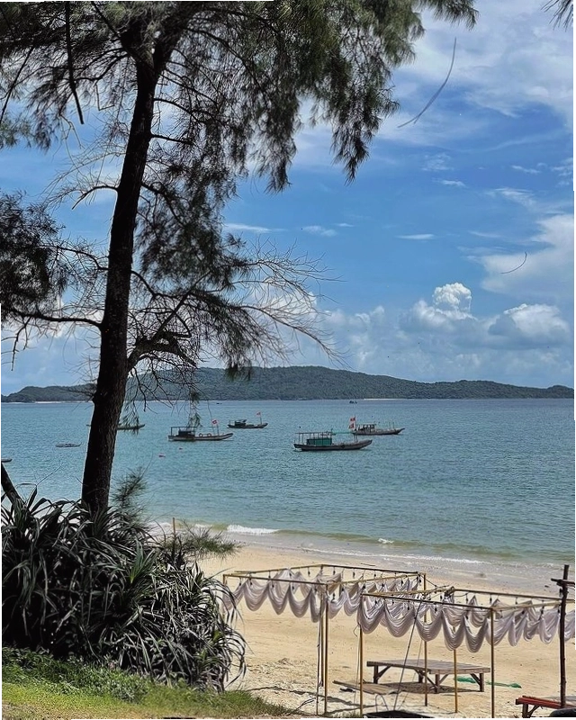 Vẻ đẹp đa dạng của san hô dưới đáy biển Cù Lao Chàm