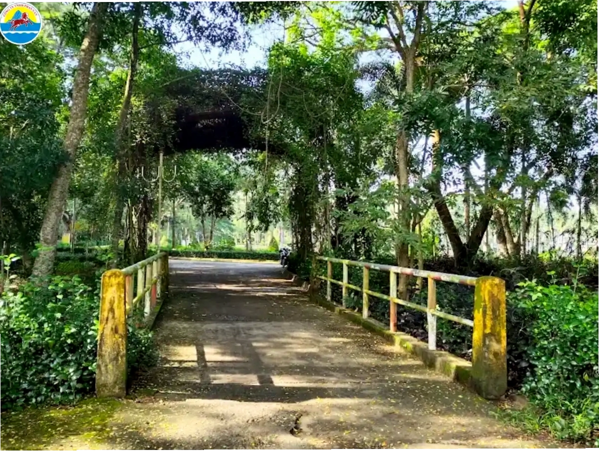 Vẻ đẹp hoang sơ của Biển Mỏ Ó
