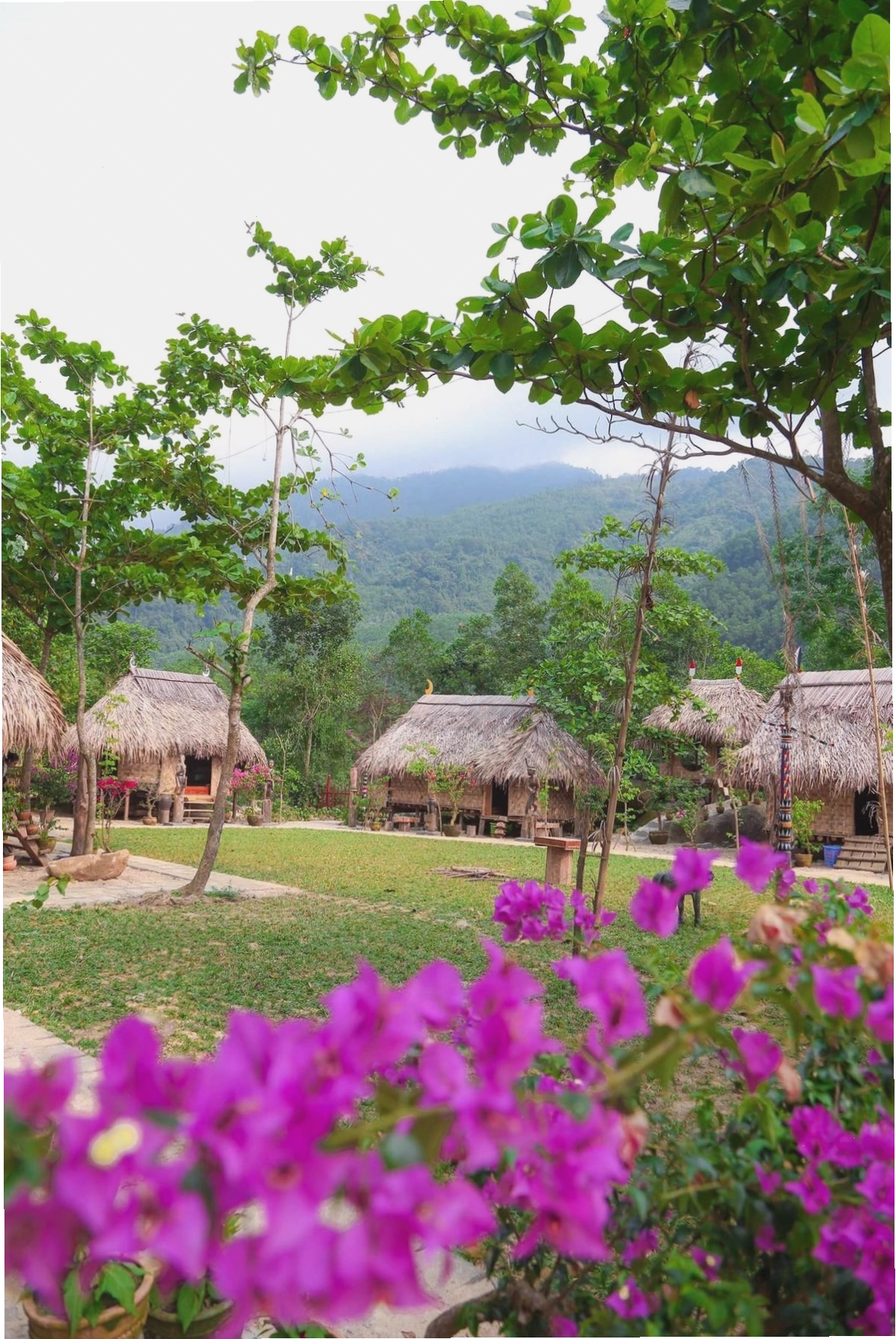 Vẻ đẹp hoang sơ của Suối Hoa với cây cối xanh tốt và không khí trong lành
