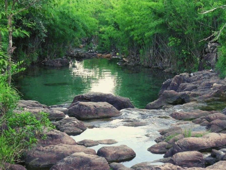 Vẻ đẹp hoang sơ của Suối Trúc Tây Ninh với dòng nước trong veo chảy qua ghềnh đá