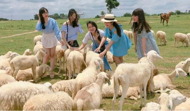 Vẻ đẹp hoang sơ của Vịnh Vĩnh Hy