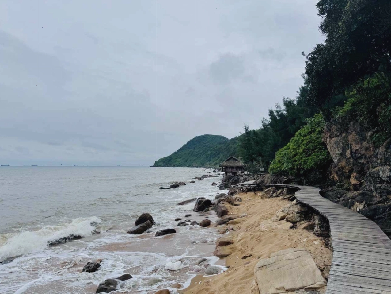 Vẻ đẹp hoang sơ và bình yên của Bãi Đông Thanh Hóa