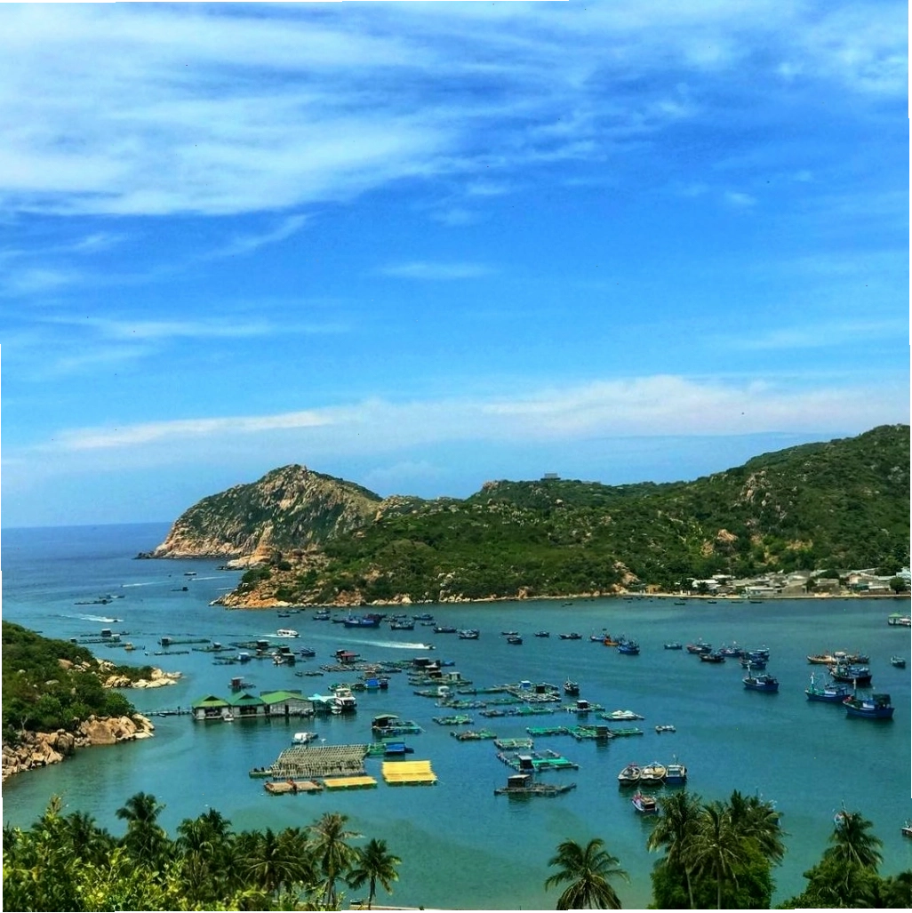 Vẻ đẹp lung linh của san hô dưới đáy biển