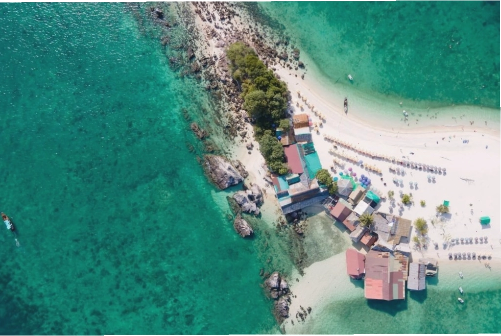 Vẻ đẹp nên thơ của Bondi chắc chắn sẽ làm bạn thích thú