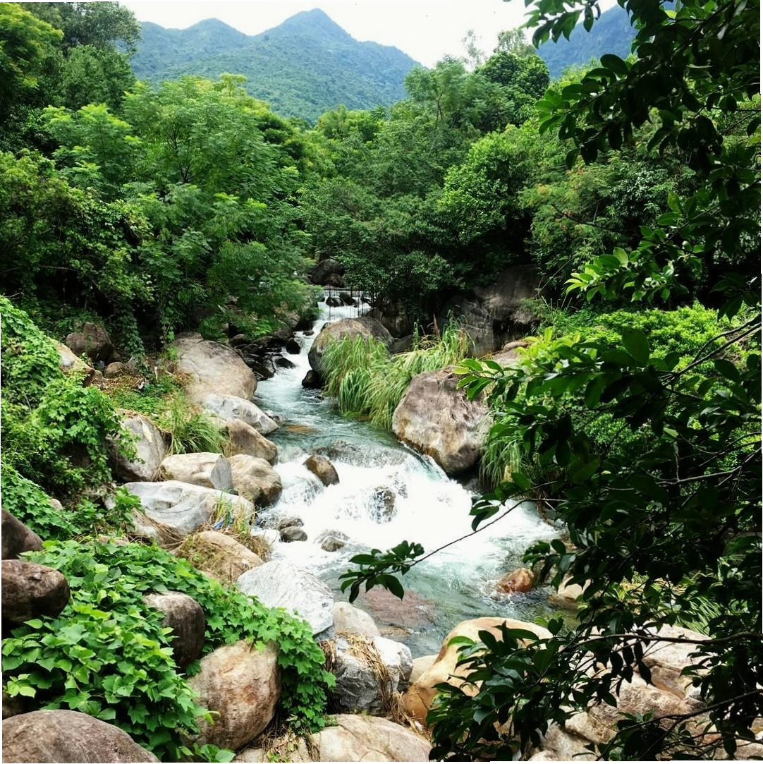 Vẻ đẹp nên thơ của Suối Lương vào buổi chiều