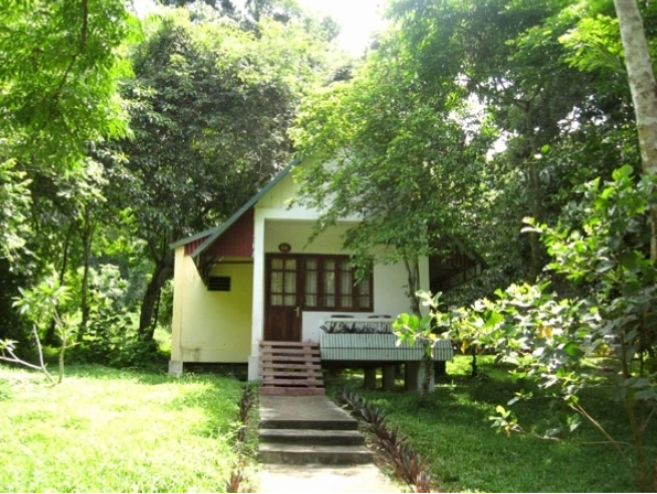 Vẻ đẹp thiên nhiên hoang sơ của Cúc Phương