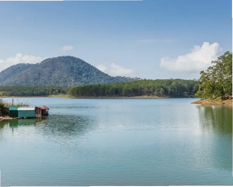 Vẻ đẹp thơ mộng của Hồ Tuyền Lâm Đà Lạt với mặt nước phẳng lặng và rừng thông xanh mướt