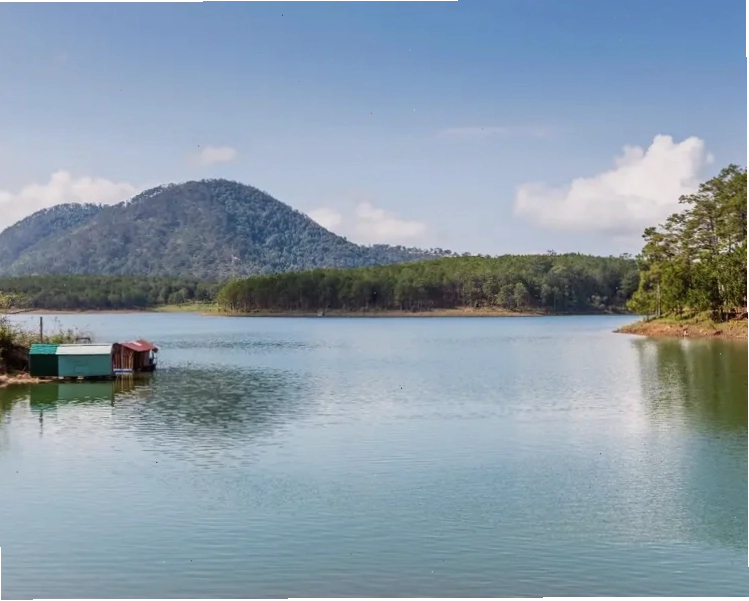 Vẻ đẹp thơ mộng của Hồ Tuyền Lâm Đà Lạt với mặt nước phẳng lặng và rừng thông xanh mướt