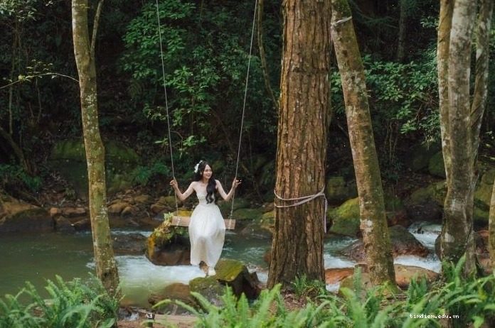 Vẻ đẹp thơ mộng của Suối Mơ Đà Lạt với dòng nước trong veo