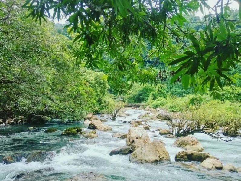 Vẻ đẹp trong veo của nước Suối Moọc, Quảng Bình