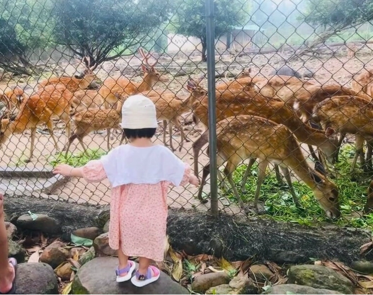 Vé Suối Khoáng Nóng Alba Thanh Tân Huế