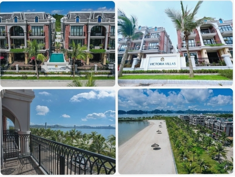 Victoria Villas Hạ Long với thiết kế độc đáo màu cam nổi bật