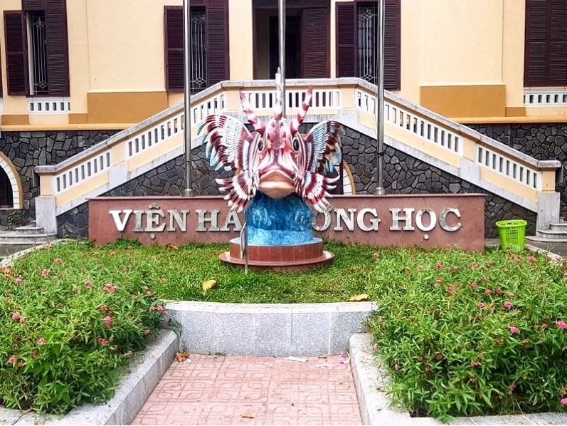 Viện Hải Dương Học Nha Trang trưng bày đa dạng các loài sinh vật biển