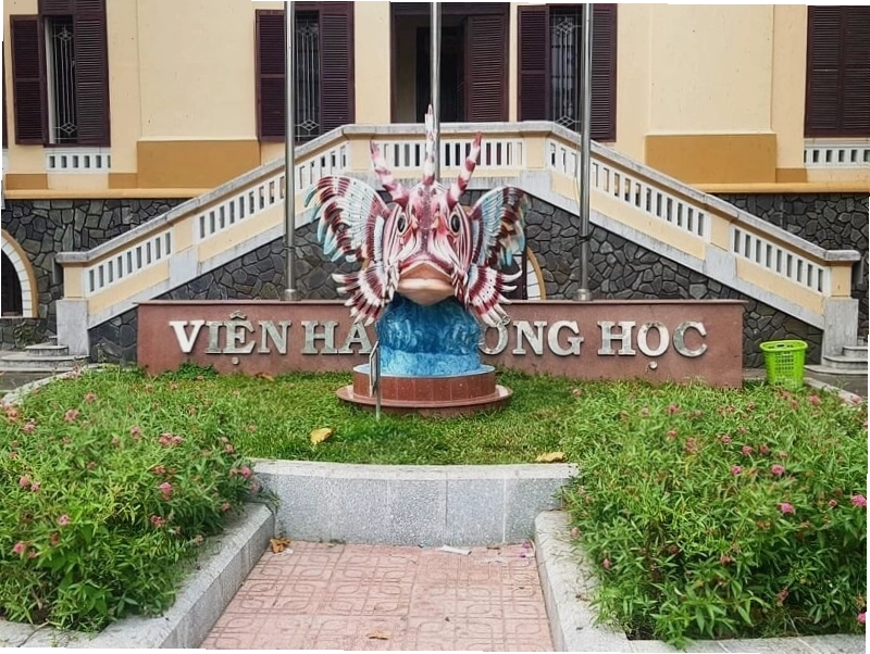Viện Hải Dương Học Nha Trang trưng bày nhiều loài sinh vật biển độc đáo