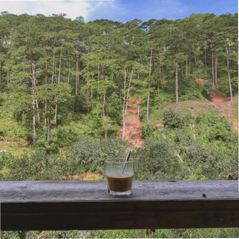 View ngắm cảnh ngoạn mục từ Lưng Chừng Cafe Đà Lạt nhìn ra thung lũng xanh mướt