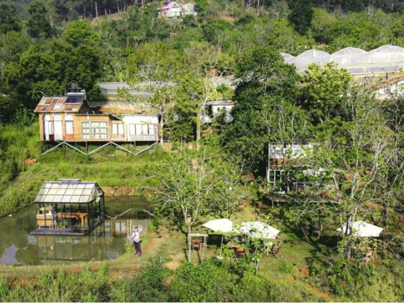 View từ Đợi Một Người Homestay Đà Lạt nhìn ra rừng thông
