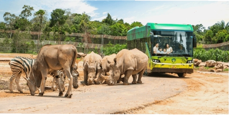Vinpearl Safari Phú Quốc với nhiều loại động vật lạ trên thế giới