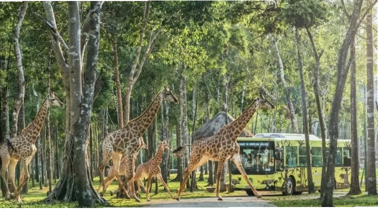 Vinpearl Safari Phú Quốc
