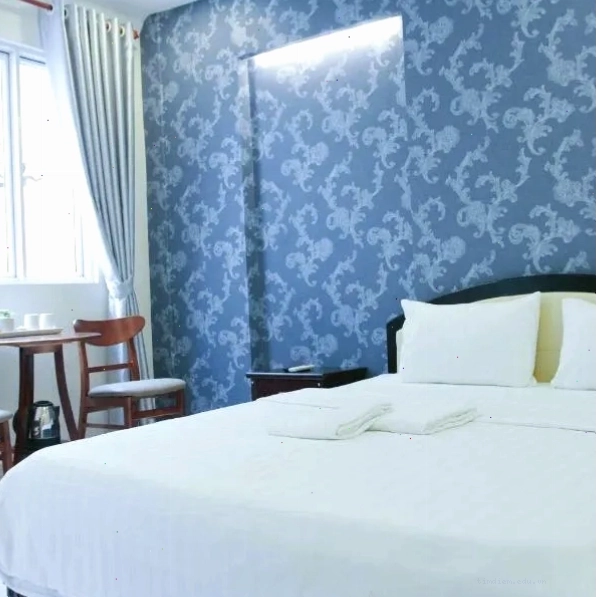 Violet Star Hotel and Spa, khách sạn sang trọng tại Quận 1, TP. Hồ Chí Minh