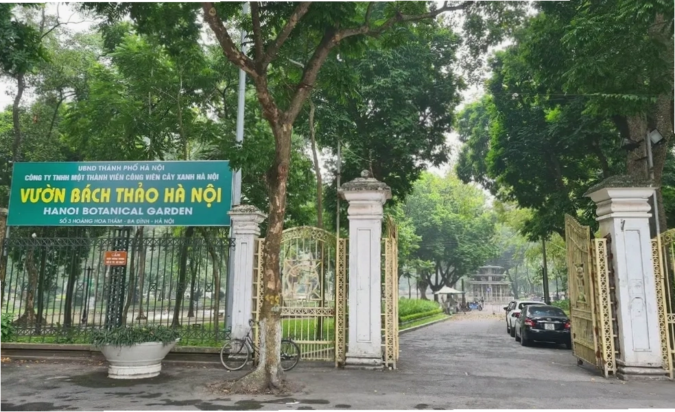 Vườn Bách Thảo Hà Nội với cây xanh rợp bóng