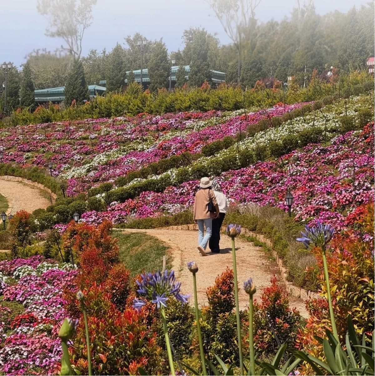 Vườn hoa rực rỡ sắc màu tại Euro Garden Đà Lạt