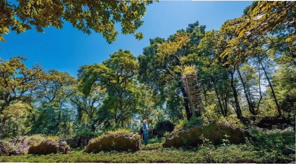Vườn quốc gia Ba Vì là địa điểm du lịch miền Bắc 1 ngày với cảnh quan thiên nhiên hùng vĩ và hệ sinh thái đa dạng
