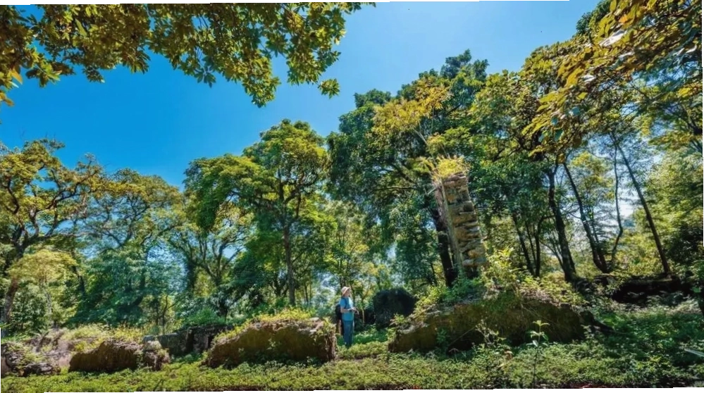 Vườn quốc gia Ba Vì với không gian xanh mát là địa điểm nghỉ dưỡng gần Hà Nội lý tưởng