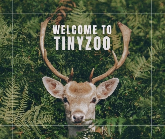 Vườn thú Tiny Zoo tại công viên nước Bến Tre
