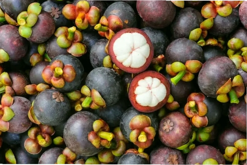 Vườn trái cây Long Khánh vào mùa chín rộ
