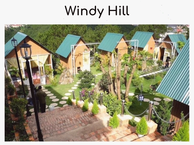 Windy Hill Coffee & Homestay - Thoải mái hòa mình vào bức tranh thiên nhiên