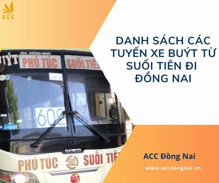 Xe Buýt Đi Suối Tiên: Cập Nhật Tuyến Đường và Lộ Trình Chi Tiết 2026