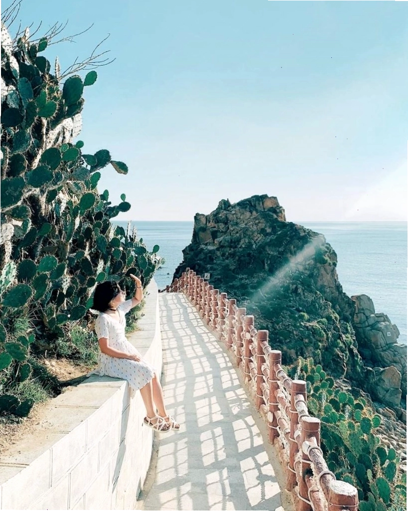 Xương rồng tại Eo Gió